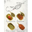 Set de hrănire FilStar InLine pentru metode de lucru
