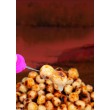 DB Frenzied Naked Tiger Nuts