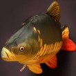 Възглавничка Mini Fish