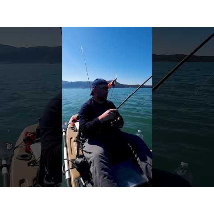 Storm Biscay Minnow