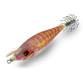 Squid DTD Kanjac